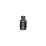 Gib Screw
