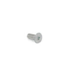 Screw for 1964 Scraper Knife